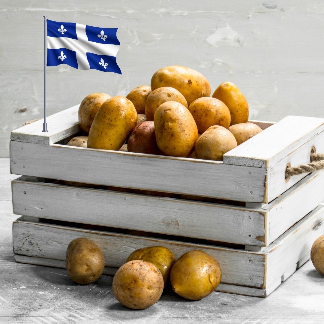 Le Québec et la patate: une histoire loin d'être plate! - Patates