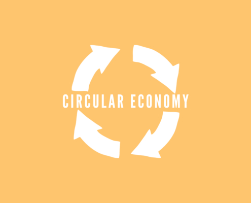 Did You Say Circular Economy?
